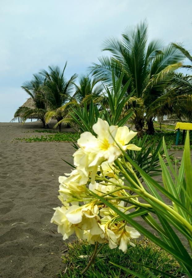 Eco-Hotel Playa Quilombo Las Lisas Exterior foto